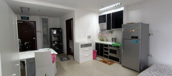 Joo Chiat Road (D15), Apartment #557191571